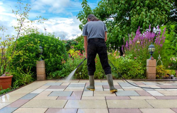 Best Driveway Pressure Washing  in Pipestone, MN